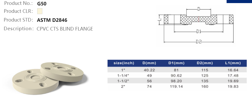 BLIND FLANGE