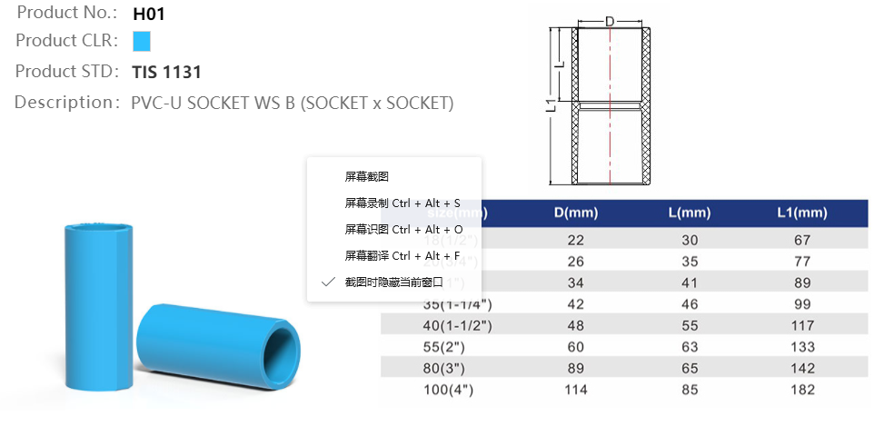 SOCKET