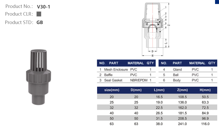 FOOT VALVE