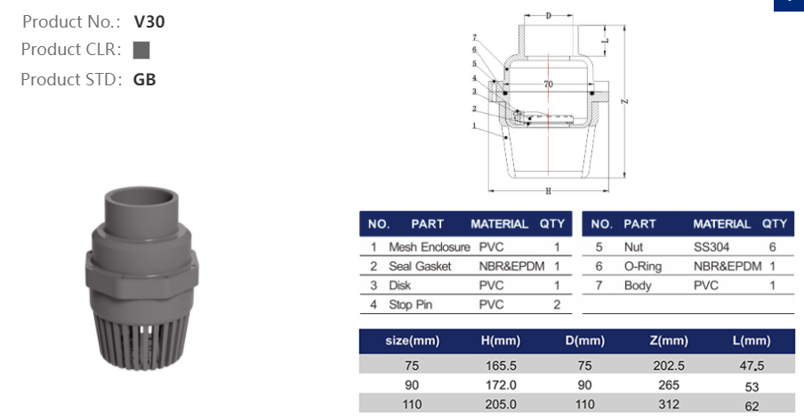 FOOT VALVE